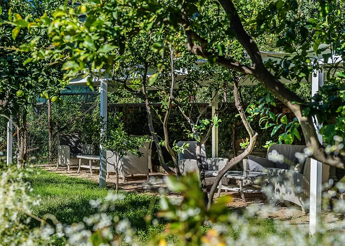 Hotel Capri (Adults Only)